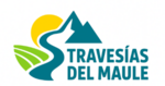 travesiasdelmaule.cl