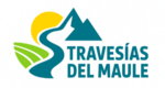 travesiasdelmaule.cl